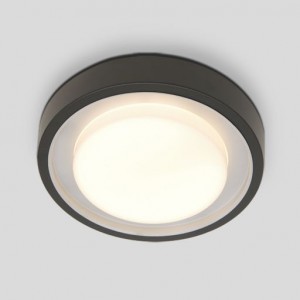 Настенно-потолочный светильник Oasis-Light SIDNEY 3351