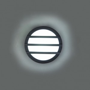 Настенно-потолочный светильник Oasis-Light SIDNEY 3361