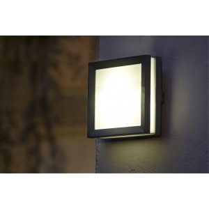 Настенно-потолочный светильник Oasis-Light SIDNEY LED W3342