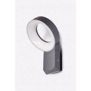 Настенный светильник Oasis-Light MERIDIAN W6163S Gr