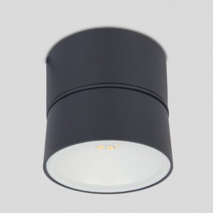Настенно-потолочный светильник Oasis-Light TUBE LED W6260