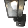 Уличный светильник Colosso 1818-1W