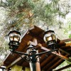 Садово-парковый светильник Elektrostandard Classic a025754