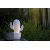 Уличный светодиодный светильник Lucide Cactus 13813/02/31