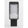 Уличный светодиодный светильник консольный ЭРА SPP-502-0-50K-050 Б0043661