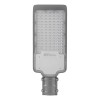 Светодиодный уличный консольный светильник Feron SP2924 100W 3000K 230V, серый