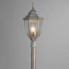 Уличный наземный светильник Arte Lamp PEGASUS A3151PA-1WG