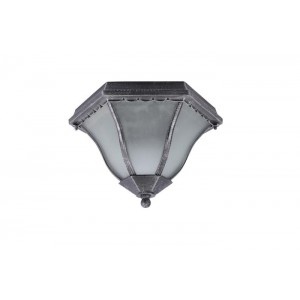 Уличный потолочный светильник Arte Lamp PORTICO A1826PF-2BS
